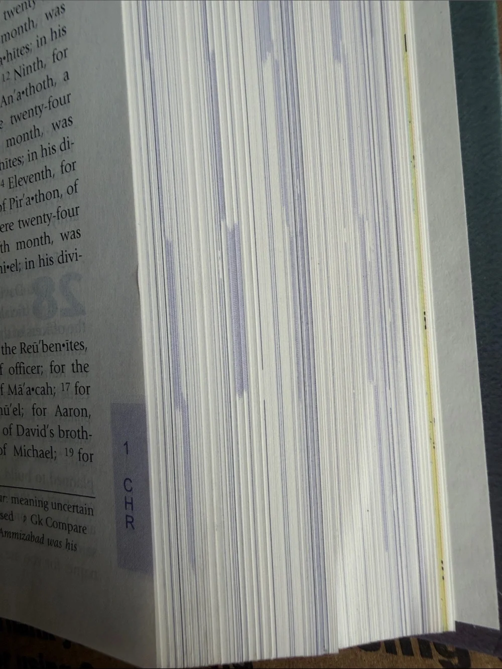 The Catholic Youth Bible - Multicolor Edition